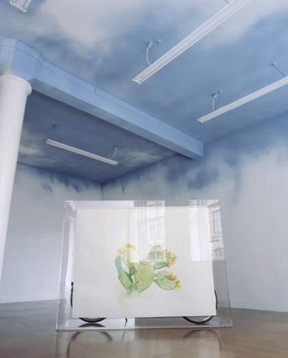 Simon Starling Installation view: Tabernas Desert Run, The Modern Institute, Glasgow