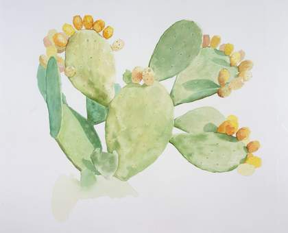 Simon Starling Tabernas Desert Run 2004