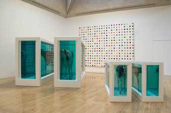 Turner Prize Retrospective, Tate Britain, 2008, Damien Hirst installation view