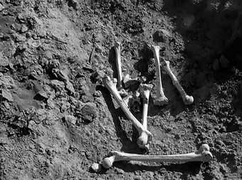 black and white image of bones in the dirt
