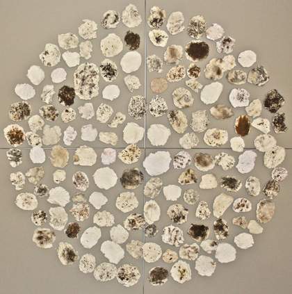 TG Online Gallery Collective Experiences 2