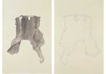 Trisha Donnelly Untitled (diptych) 2004