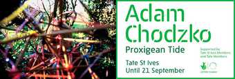 Exhibition banner for Adam Chodzko Proxigean Tide Tate St Ives