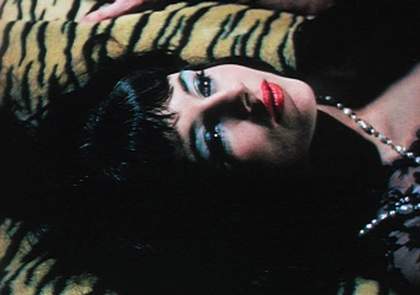 Mike Kuchar, The Secret of Wendel Samson 1966, film still