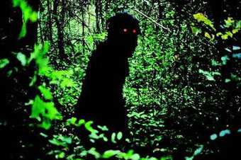 Apichatpong Weerasethakul, Uncle Boonmee who can recall his past lives 2010 Film still 