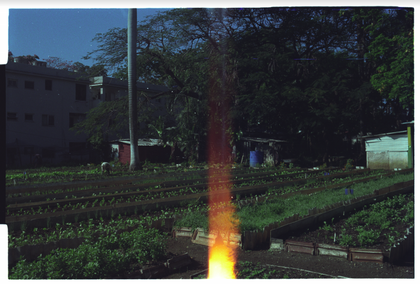 Urban Permaculture Garden, Havana, image (c) Eva Sajovic