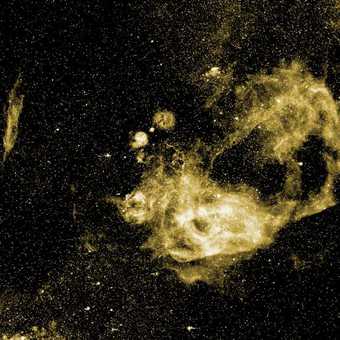 Vela Supernova Remnant and Pulsar