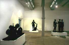 Venus Redefined Installation Tate Liverpool 1994