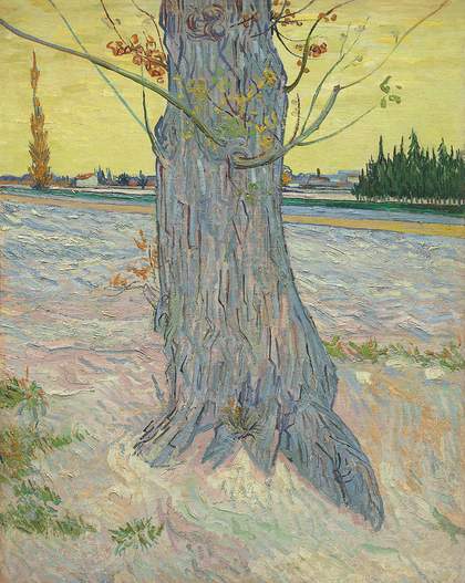 Vincent van Gogh, Trunk of an Old Yew Tree, Arles- October 1888, 1888, oil paint on canvas, 91 x 71 cm