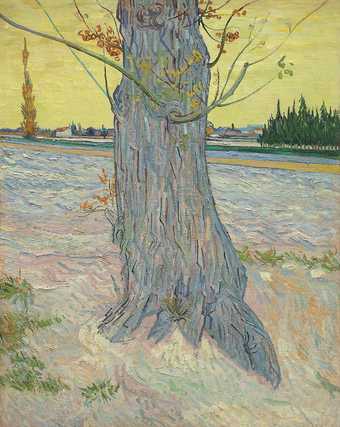 Vincent van Gogh, Trunk of an Old Yew Tree, Arles- October 1888, 1888, oil paint on canvas, 91 x 71 cm