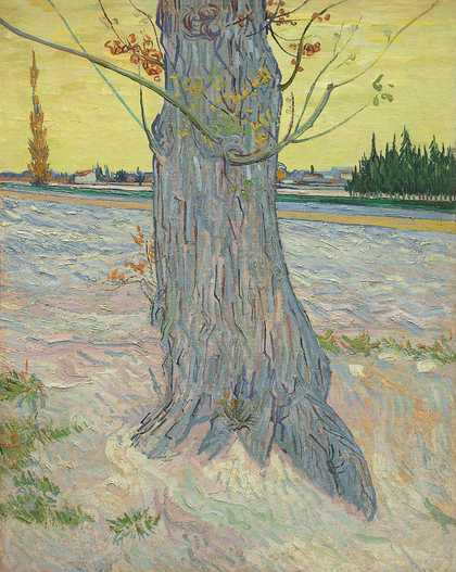 Vincent van Gogh, Trunk of an Old Yew Tree, Arles- October 1888, 1888, oil paint on canvas, 91 x 71 cm
