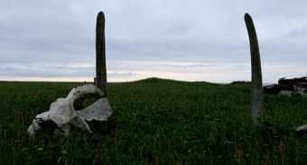Whalebone and wooden posts are seen in a grassy field near the shore
