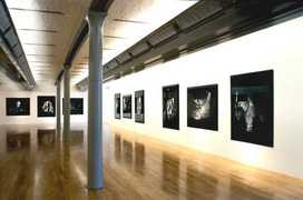 Vital Three Contemporary African Artists Installation Shot Tate Liverpool