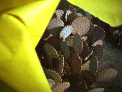 Laida Lertxundi Vivir para Vivir [Live to Live] 2015, film still. Courtesy the artist and LUX