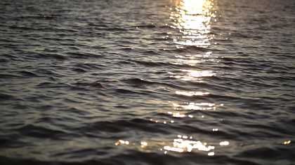 ​Michael Snow and Mani Mazinani Waivelength 2019, video still. Courtesy the artists