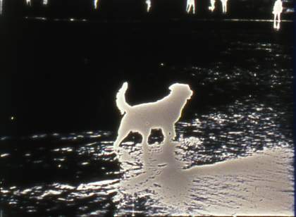 Chick Strand, Waterfall, 1967, film still