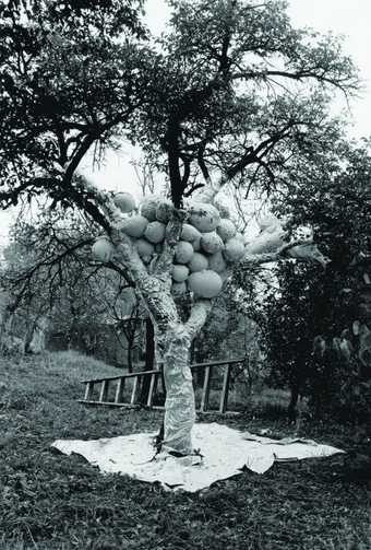A black-and-white image of a tree, its trunk surrounded by a white sheet of material with 'balloon sculptures' in its branches