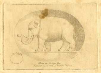 William Blake's print illustrating William Hayley's animal ballad The Elephant, published by Blake in 1802