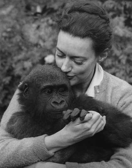 Wolf Suschitzky Beatrice with ape