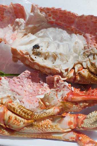 Inkjet print photograph of a fly sitting on half opened seafood including lobster and crabs