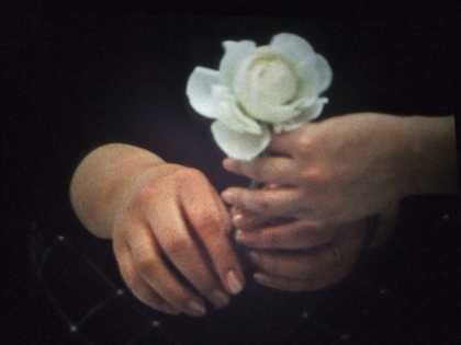 Ute Aurand, Young Pines, 2011, film still Courtesy the artist