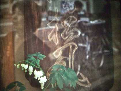 Ute Aurand, Young Pines, 2011, film still Courtesy the artist