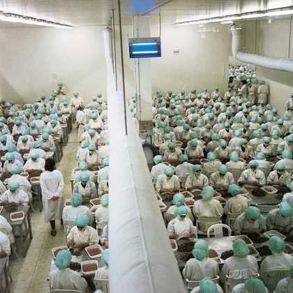 Yto Barrada Prawn processing plant in the Free Trade Zone Tangier 1998 photograph of a room of factory workers wearing green caps and white overalls