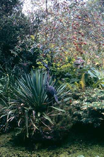 Pond and yucca, Broughton House