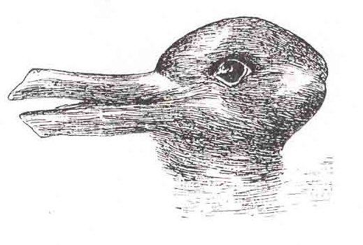A drawing of the duck or rabbit illusion